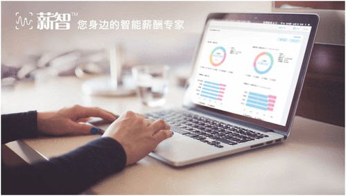 2016-2017年度最具創(chuàng)新SaaS產品揭曉 易路軟件薪智榮登榜單，引領軟件開發(fā)新趨勢